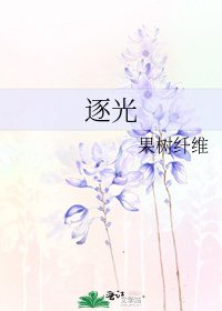 逐光
