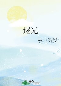 逐光